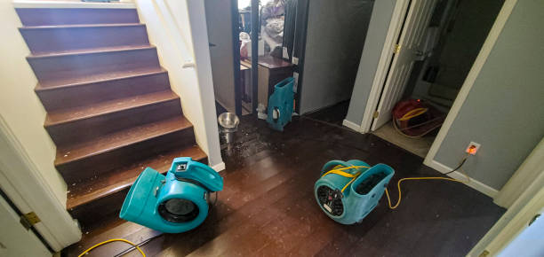 Best Water damage restoration insurance claims  in Oldsmar, FL