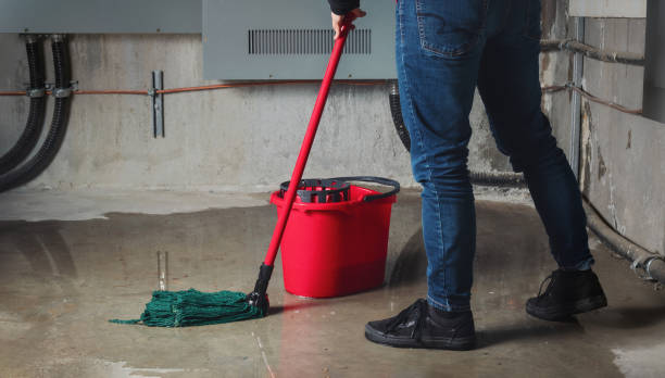 Best Ceiling water damage repair  in Oldsmar, FL