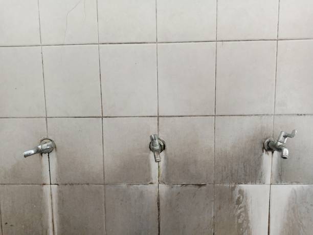 Water damage restoration mold remediation in FL