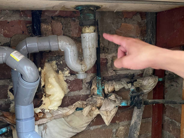 Best Basement water damage restoration  in Oldsmar, FL